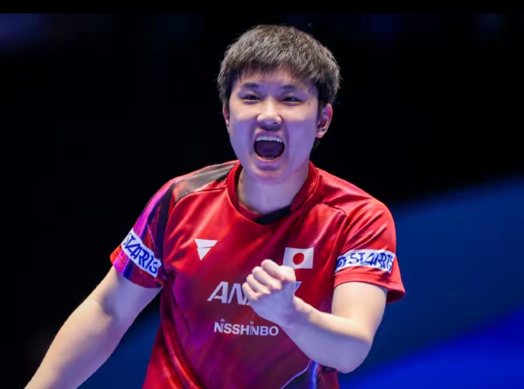 但真实的数 但真实的数